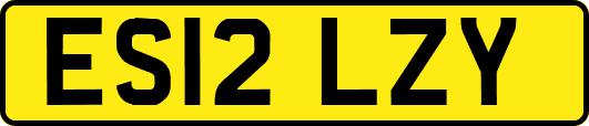 ES12LZY
