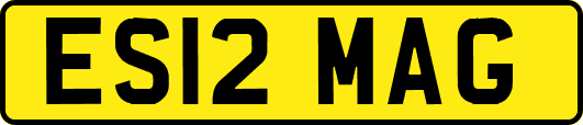 ES12MAG