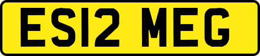 ES12MEG