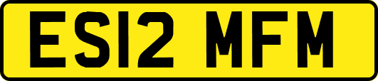 ES12MFM