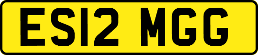 ES12MGG