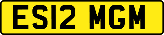 ES12MGM
