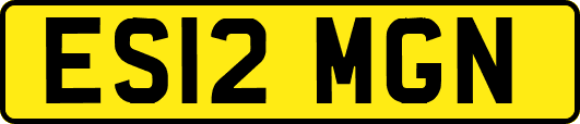 ES12MGN