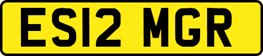 ES12MGR
