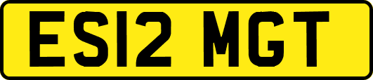 ES12MGT