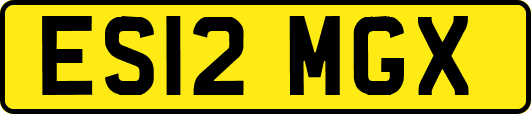 ES12MGX