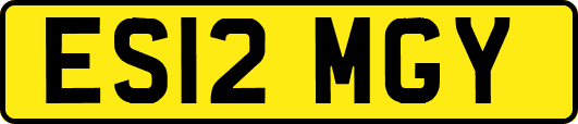 ES12MGY