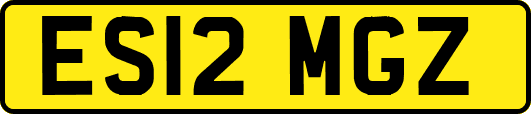 ES12MGZ