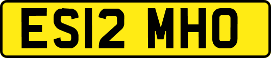 ES12MHO