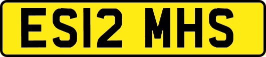 ES12MHS