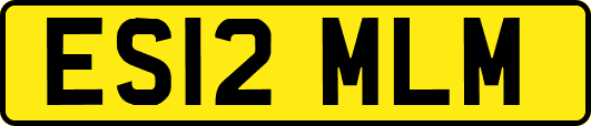ES12MLM