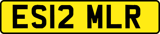 ES12MLR