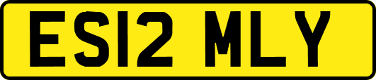 ES12MLY