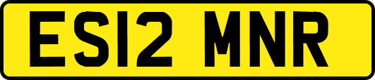 ES12MNR