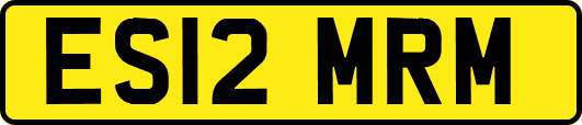 ES12MRM