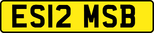 ES12MSB