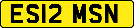 ES12MSN