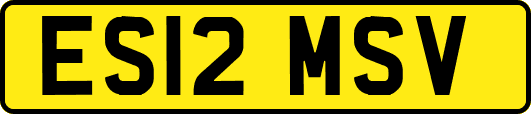 ES12MSV
