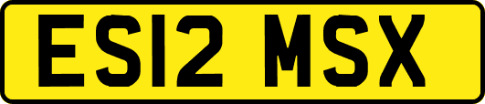 ES12MSX