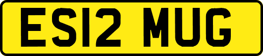 ES12MUG