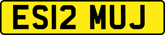 ES12MUJ