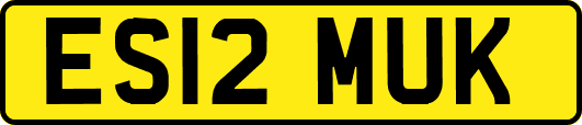 ES12MUK