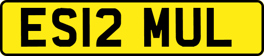 ES12MUL