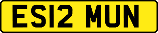 ES12MUN