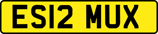 ES12MUX