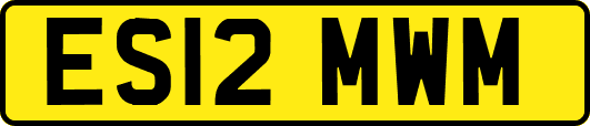 ES12MWM