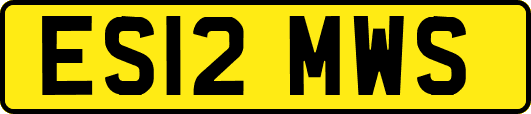 ES12MWS