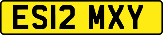 ES12MXY