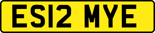 ES12MYE