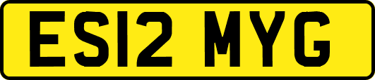 ES12MYG