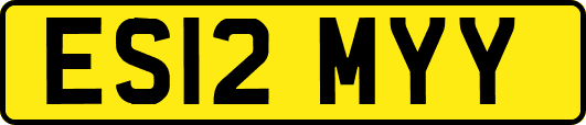 ES12MYY