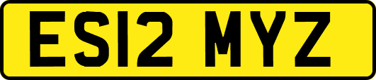 ES12MYZ