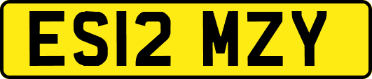 ES12MZY