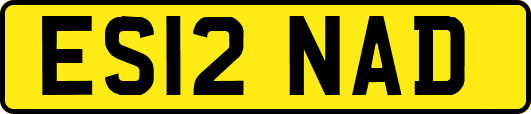 ES12NAD