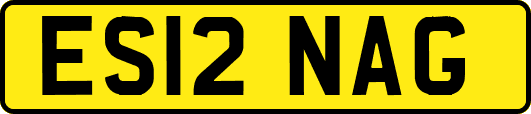 ES12NAG