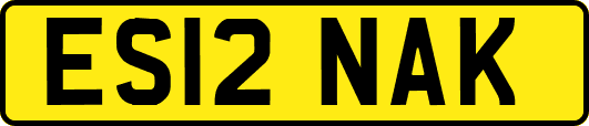 ES12NAK