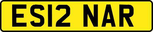 ES12NAR