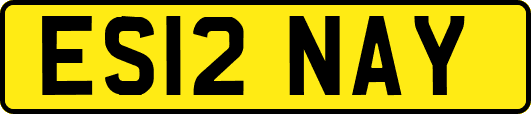 ES12NAY