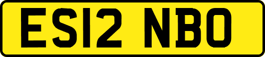ES12NBO