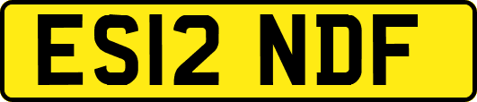 ES12NDF