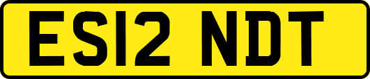 ES12NDT