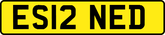 ES12NED