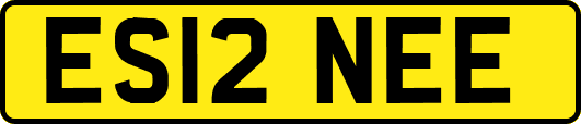 ES12NEE