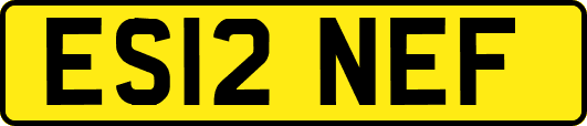 ES12NEF