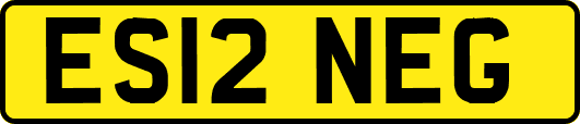 ES12NEG