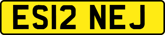 ES12NEJ